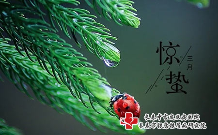 一声春雷惊万物，风动情长迎春归