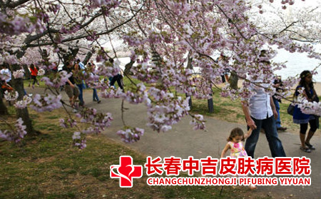 赏花与荨麻疹的关系