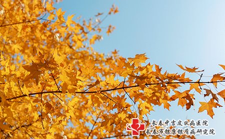 牛皮癣秋季要注意皮肤干燥