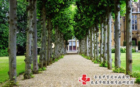 长春牛皮癣医院哪家好,长春中吉牛皮癣医院,长春哪里有治疗牛皮癣较好的医院呢