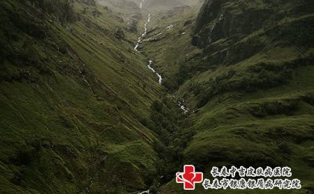 如何判断一家医院比较正规，牛皮癣的治疗效果好呢
